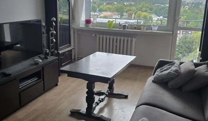 Mieszkanie 2-pokojowe Łódź Polesie, ul. Wapienna