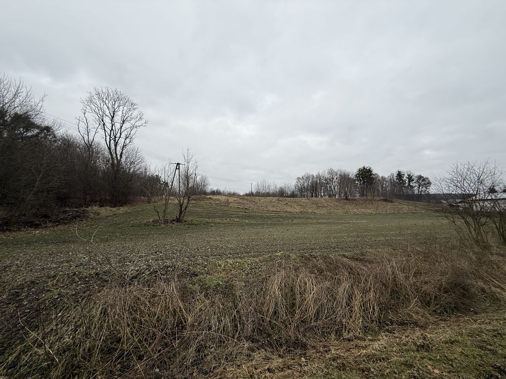 Działka rolna Orłów Murowany-Kolonia. Zdjęcie 3