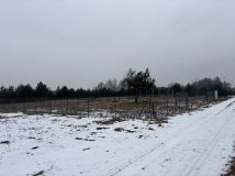 Działka rolna Janowice. Zdjęcie 2