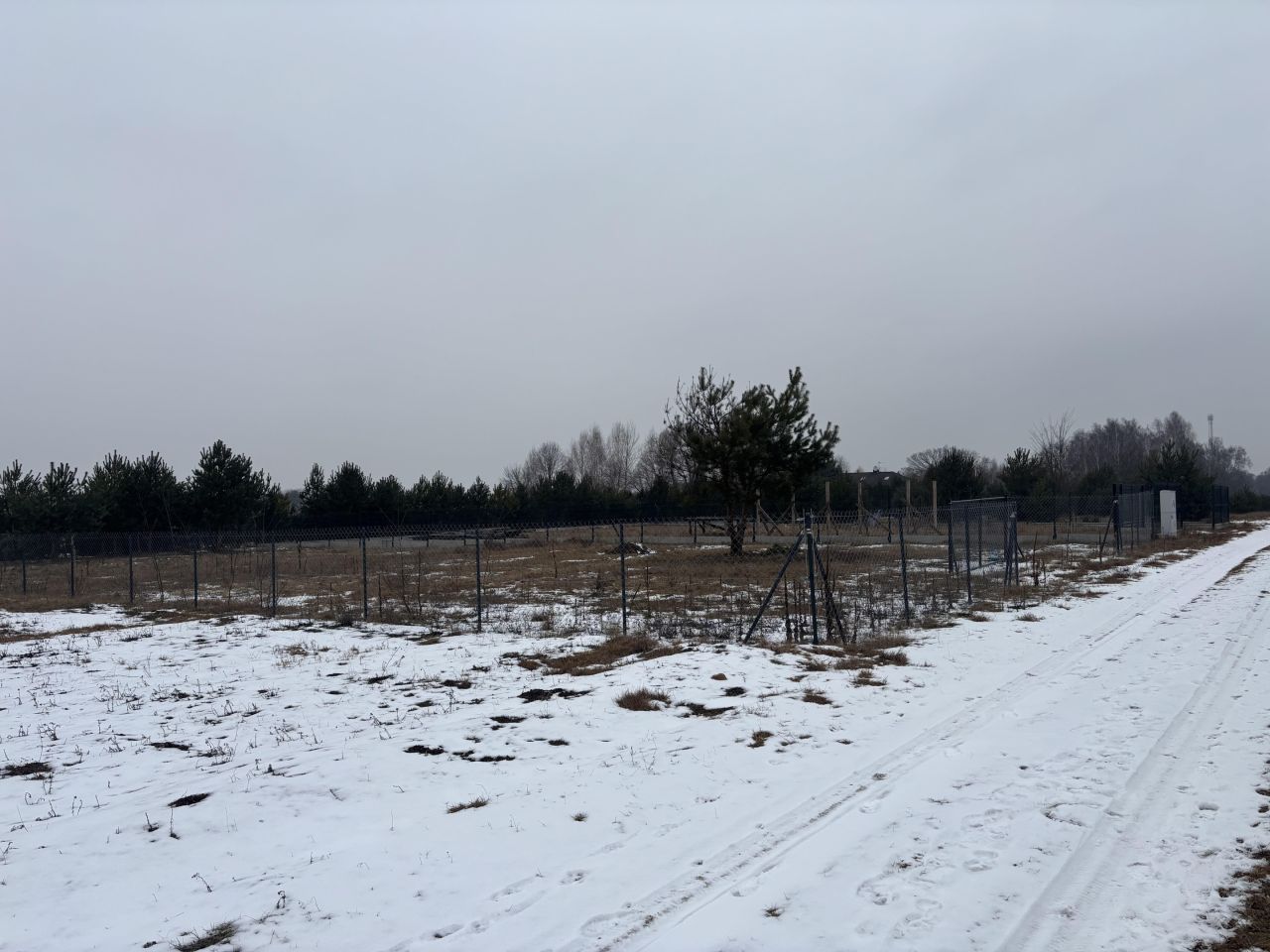 Działka rolna Janowice. Zdjęcie 3