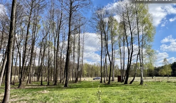 Działka budowlana Wręcza