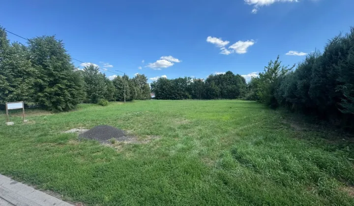 Działka budowlana Sieraków, ul. Ogrodowa