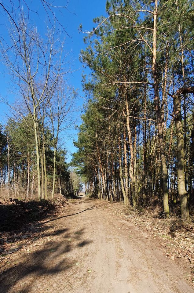 Działka budowlana Zgniłe Błoto