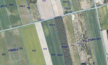 Działka budowlana Urzędów, ul. Różana. Zdjęcie 1