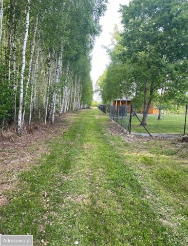 Działka rolna Orzechów-Kolonia. Zdjęcie 3