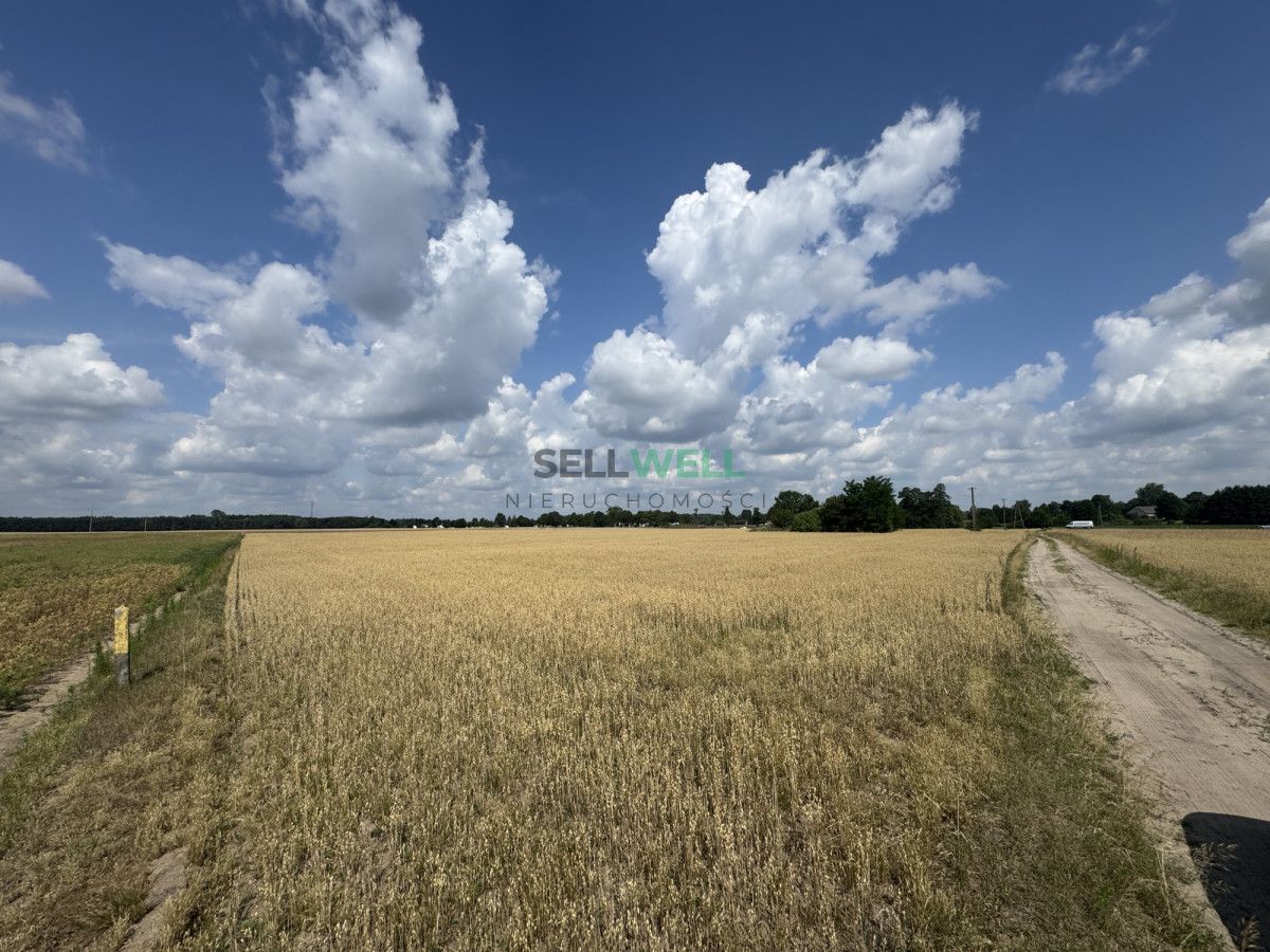 Działka inwestycyjna Złotniki. Zdjęcie 3