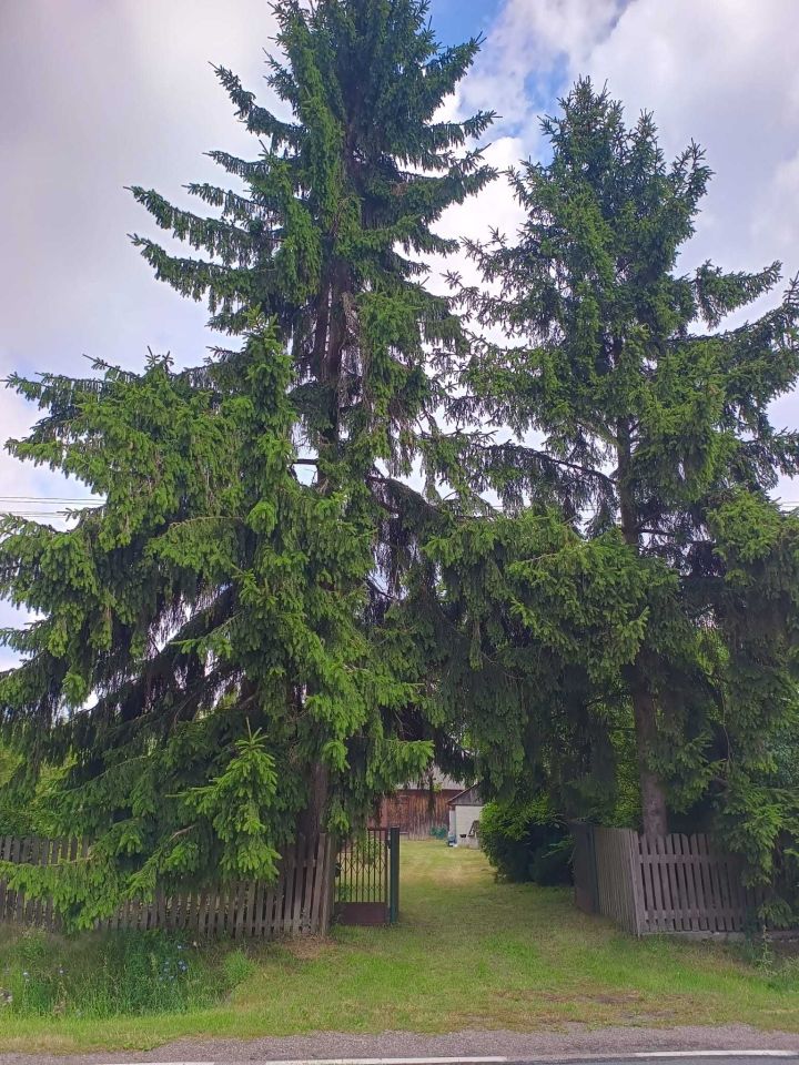 Działka siedliskowa Wierzchowiska Pierwsze. Zdjęcie 6