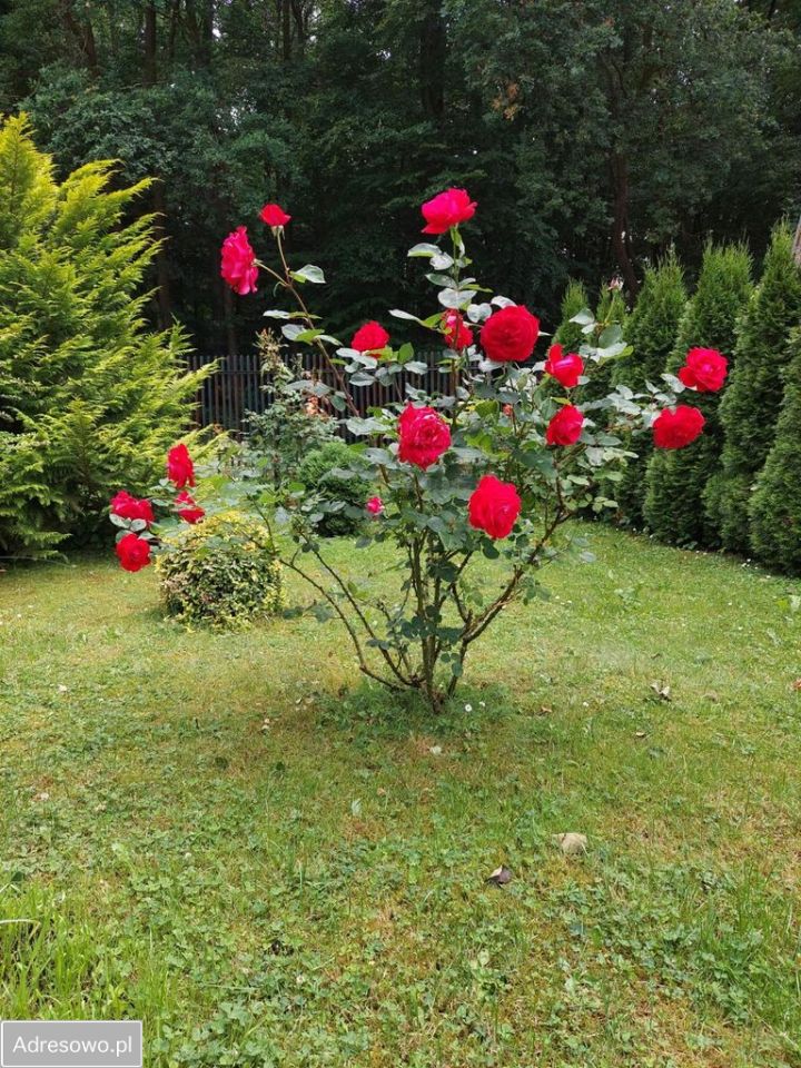 dom wolnostojący, 2 pokoje Uniejów-Rędziny Zakopane. Zdjęcie 17