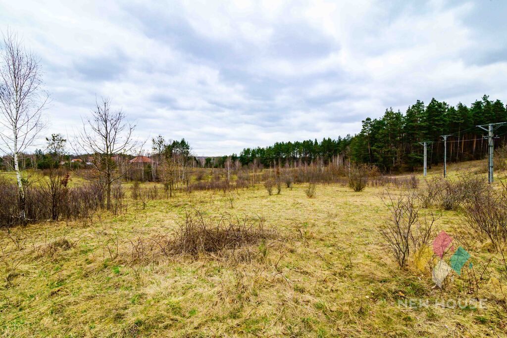 Działka budowlana Zalbki. Zdjęcie 7