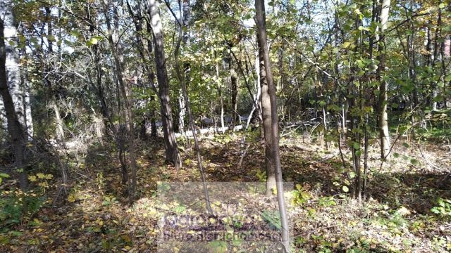 Działka budowlana Magdalenka. Zdjęcie 1