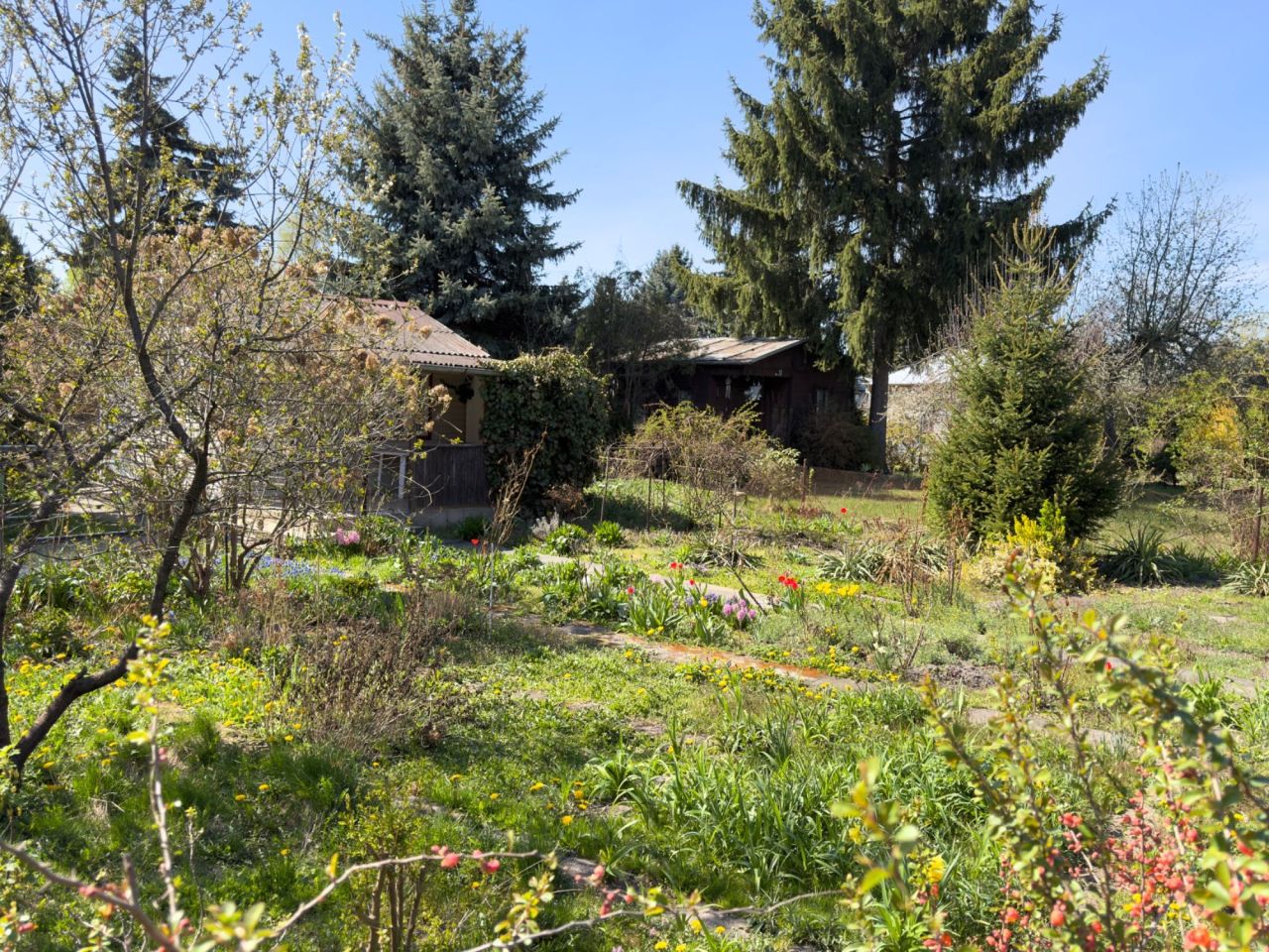 Działka rod Warszawa Zacisze. Zdjęcie 5