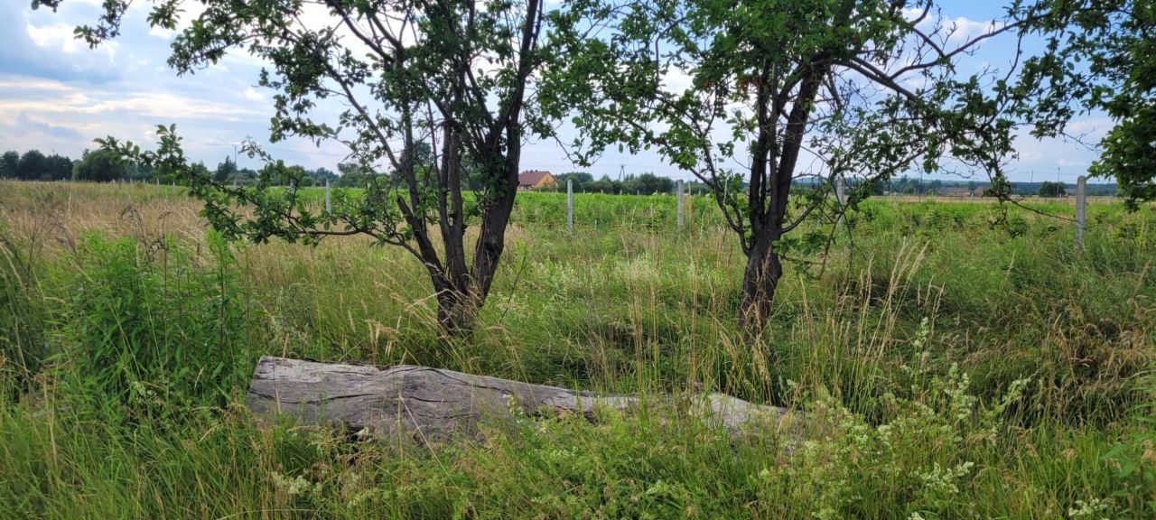 Działka budowlana Białczyk. Zdjęcie 6