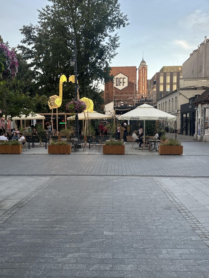 Mieszkanie 4-pokojowe Łódź Śródmieście, ul. Piotrkowska. Zdjęcie 2