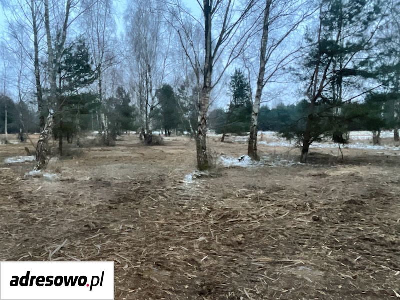 Działka inwestycyjna Domysłów. Zdjęcie 12