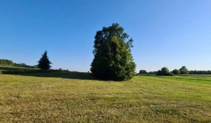 Działka budowlana Bargłów Kościelny, ul. Ogrodowa