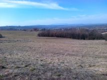 Działka rekreacyjna Gierczyce Krupki. Zdjęcie 1