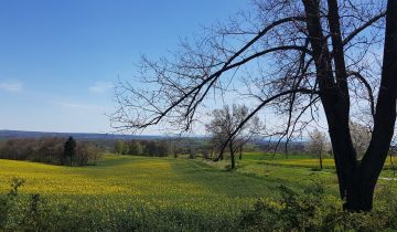 dworek, 8 pokoi Ostrężna, Ostrężna