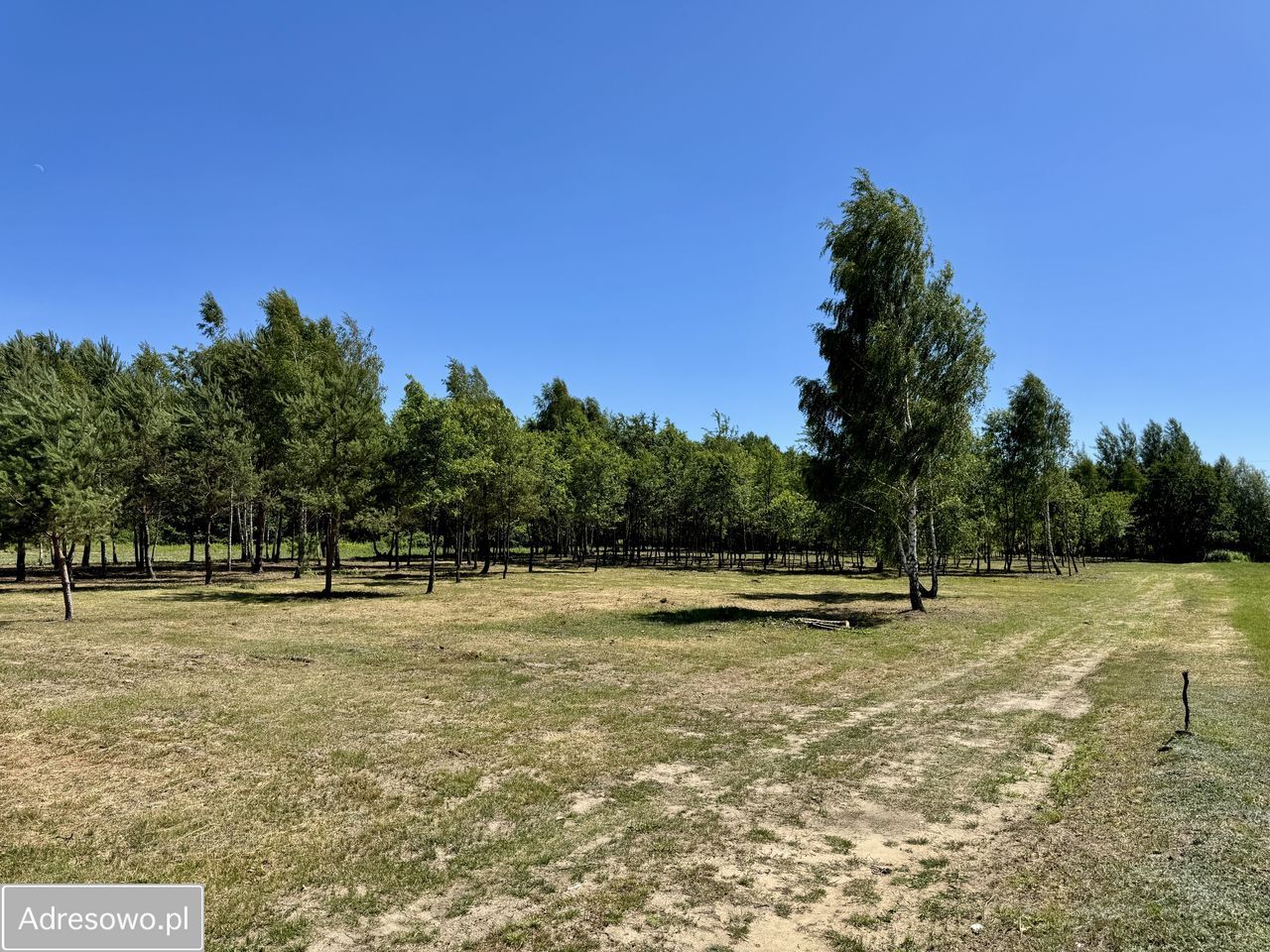 Działka budowlana Antoninów. Zdjęcie 8