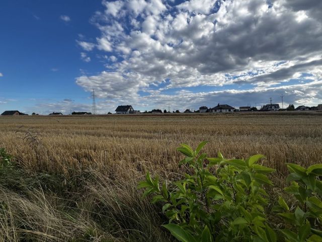 Działka rolno-budowlana Książenice. Zdjęcie 1