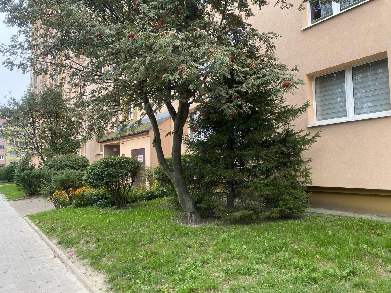 Mieszkanie 3-pokojowe Łódź Bałuty, ul. Franciszkańska. Zdjęcie 22