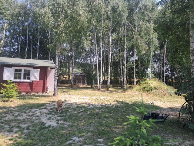 Działka rolno-budowlana Strojec, ul. Zacisze. Zdjęcie 8