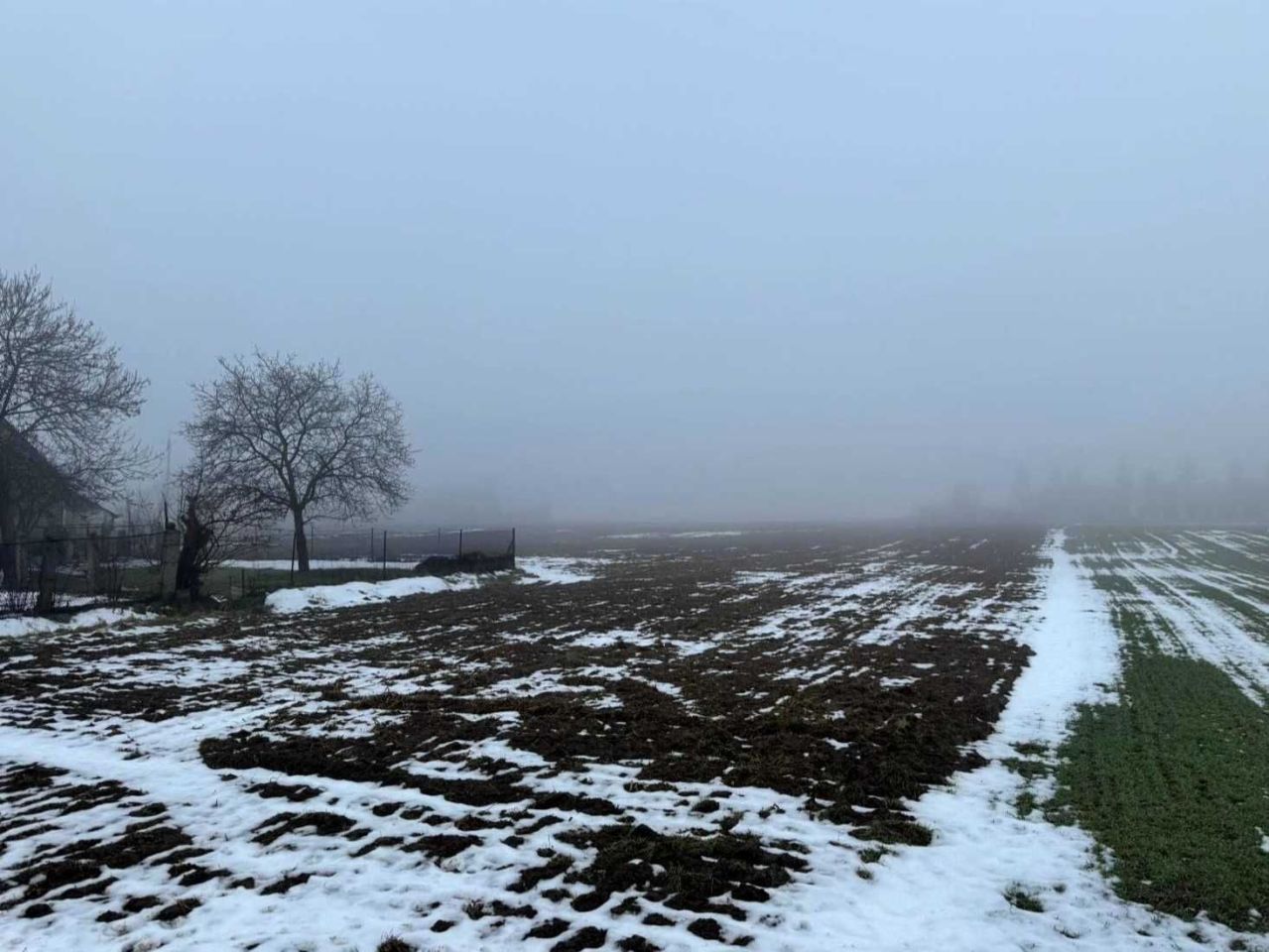 Działka rolno-budowlana Rogaszyce. Zdjęcie 2