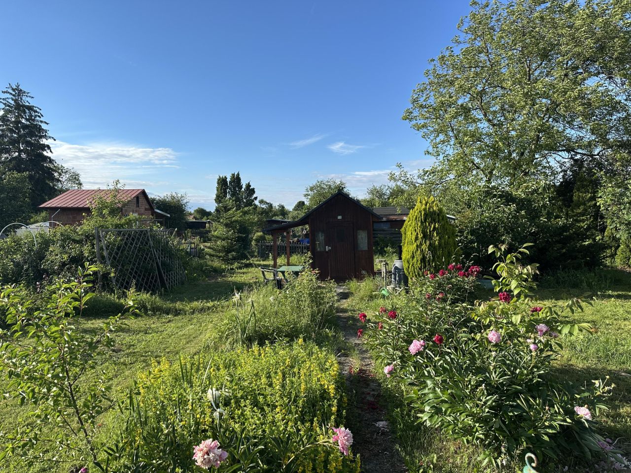 Działka rod Mielec, ul. Przemysłowa. Zdjęcie 4