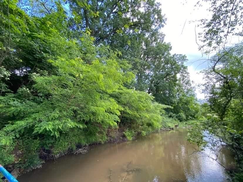 Działka budowlana Głowno Swoboda, ul. Swoboda. Zdjęcie 9