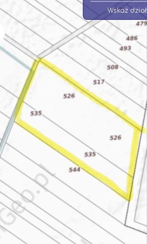 Działka rolno-budowlana Domanice. Zdjęcie 1