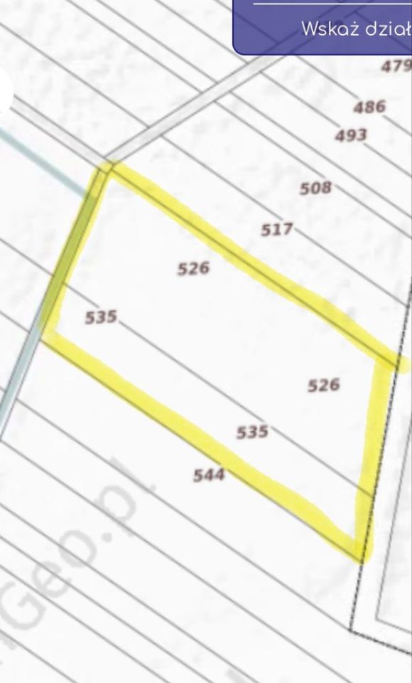 Działka rolno-budowlana Domanice. Zdjęcie 1