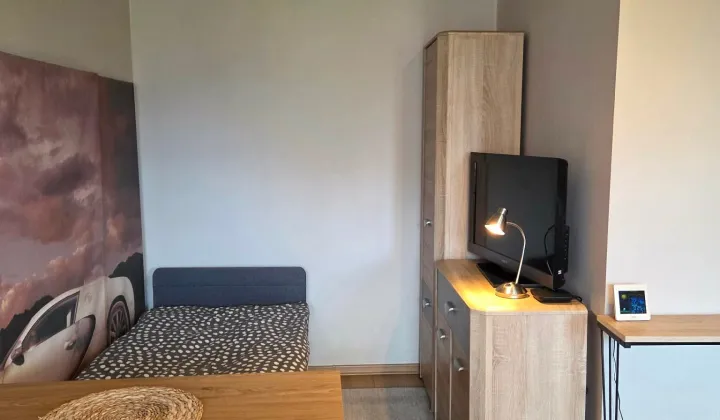Mieszkanie 1-pokojowe Katowice Dolina Trzech Stawów, ul. Graniczna