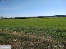 Działka budowlana Radomin. Zdjęcie 3