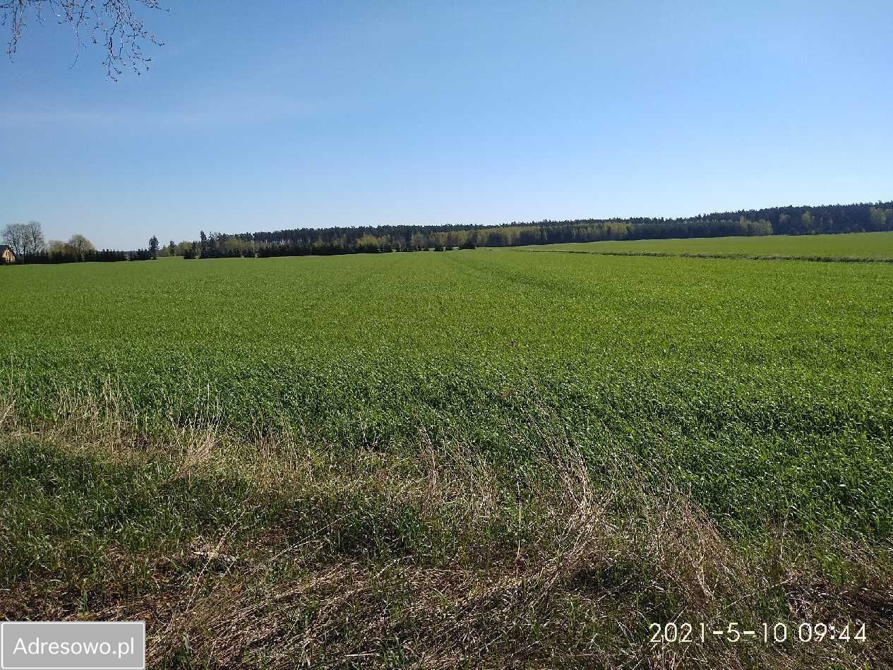 Działka budowlana Radomin. Zdjęcie 4