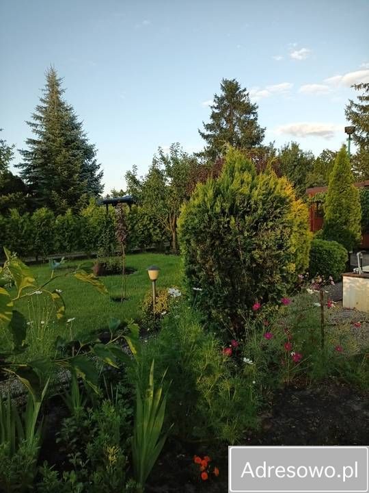 Działka rod Grudziądz Tuszewo, ul. Ludwika Waryńskiego. Zdjęcie 6