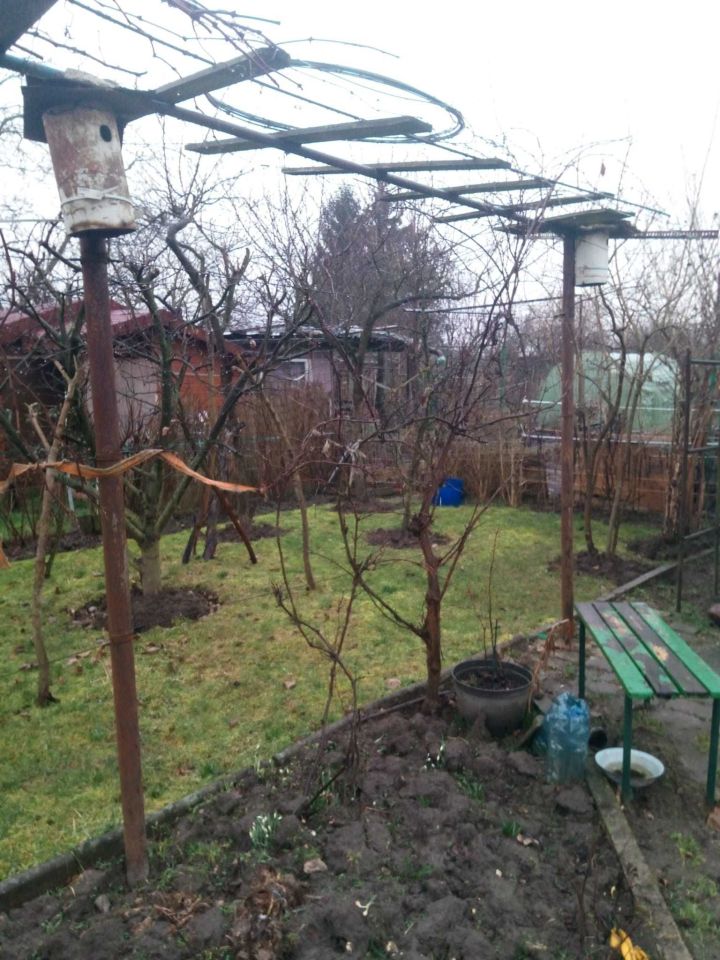 Działka rod Gorzów Wielkopolski, ul. Śląska. Zdjęcie 7