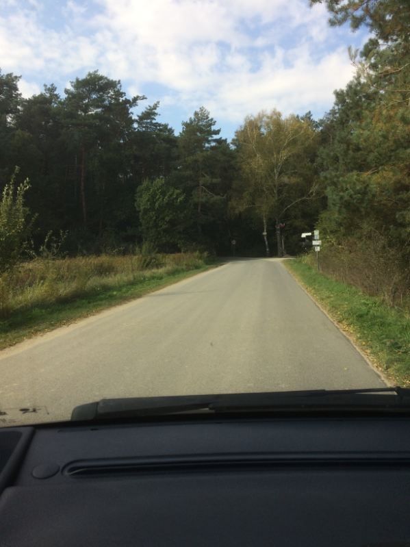 Działka leśna Kazimierz Dolny Mięćmierz. Zdjęcie 6