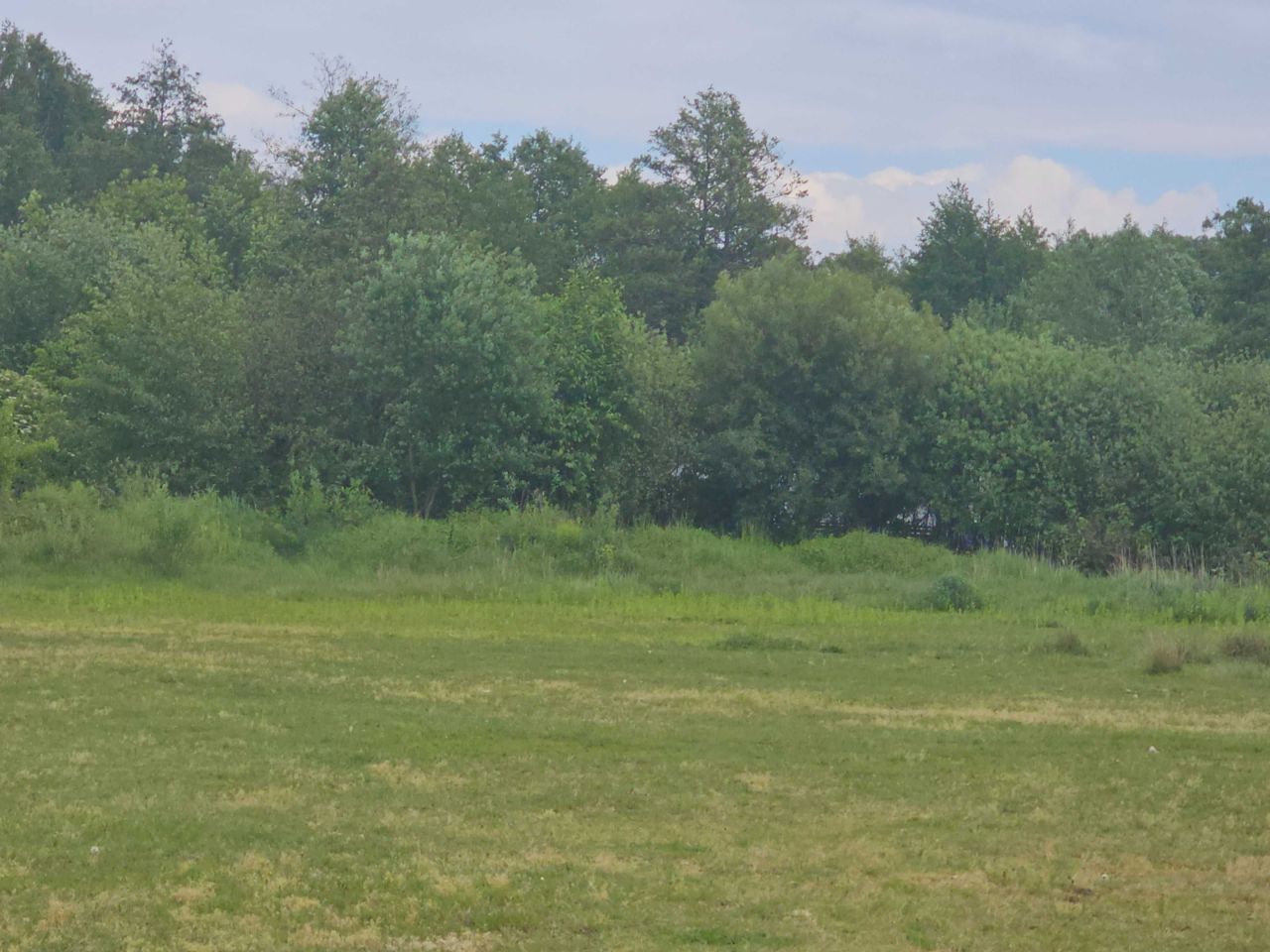 Działka budowlana Marynin. Zdjęcie 4