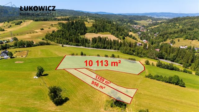 Działka leśna Pieniążkowice. Zdjęcie 21