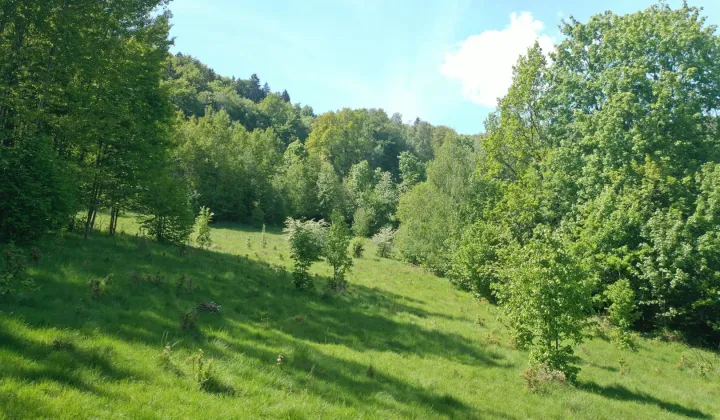 Działka budowlana Piechowice