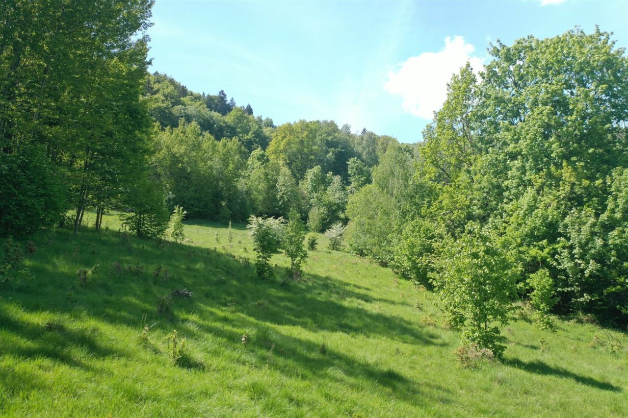 Działka budowlana Piechowice