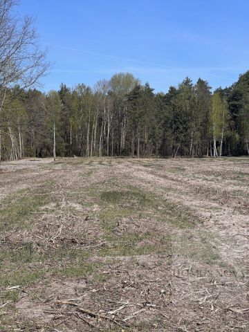 Działka budowlana Czarnocin. Zdjęcie 6