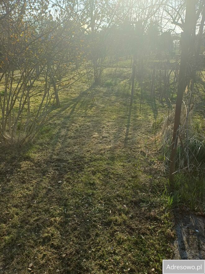 Działka rod Gorzów Wielkopolski Śródmieście, ul. Szpitalna. Zdjęcie 4
