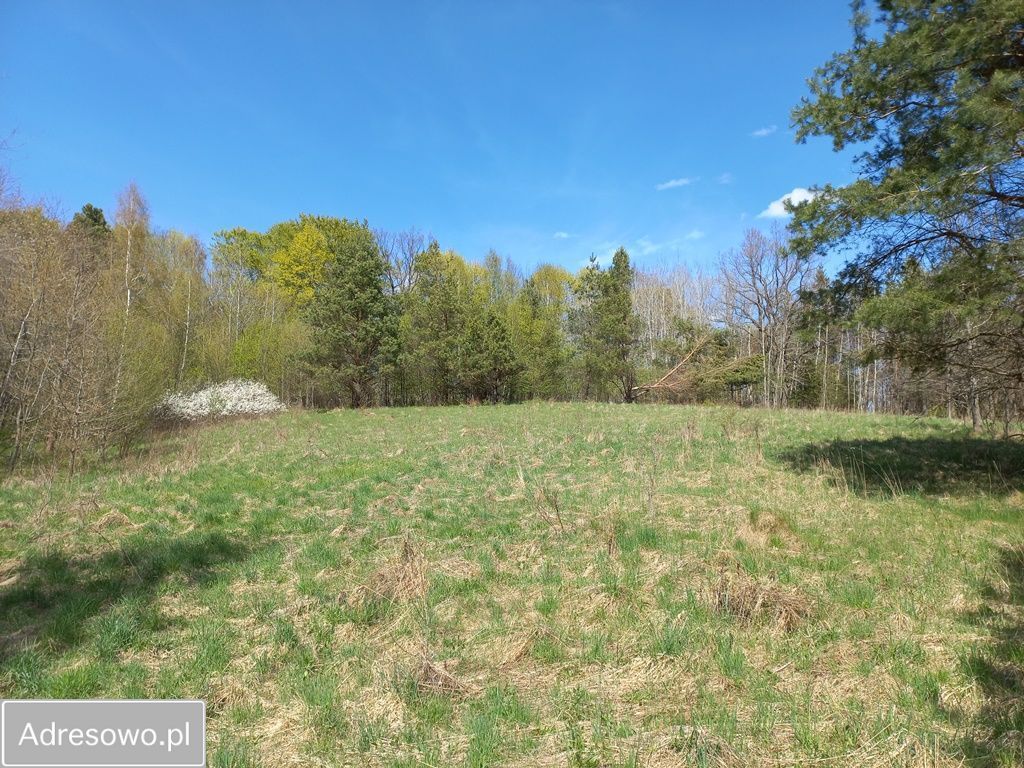 Działka rolna Niebrzydowo Wielkie. Zdjęcie 12