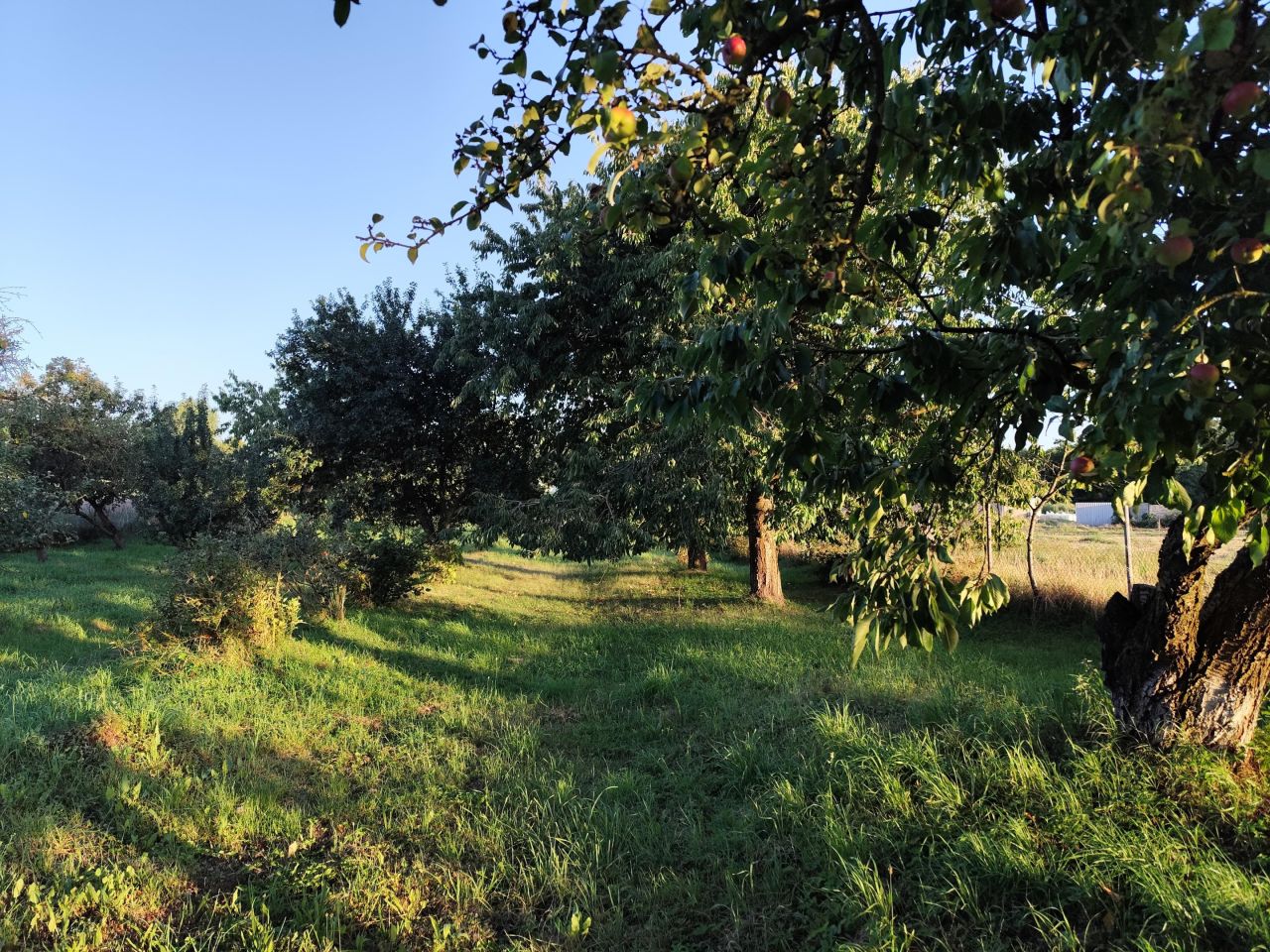 Działka rolna Suchań, ul. Młyńska. Zdjęcie 5