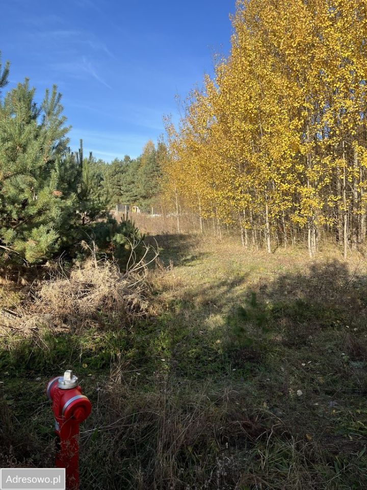 Działka budowlana Owczegłowy. Zdjęcie 16