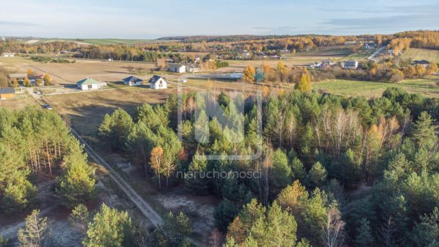 Działka budowlana Lipsko-Polesie. Zdjęcie 2
