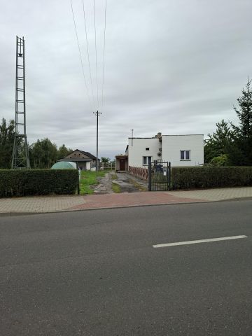 dom wolnostojący, 4 pokoje Bierzwienna Długa-Kolonia. Zdjęcie 1