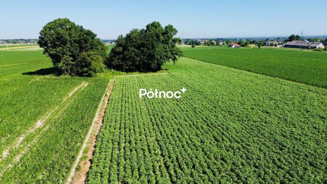 Działka rolna Chudów, ul. Szkolna. Zdjęcie 9