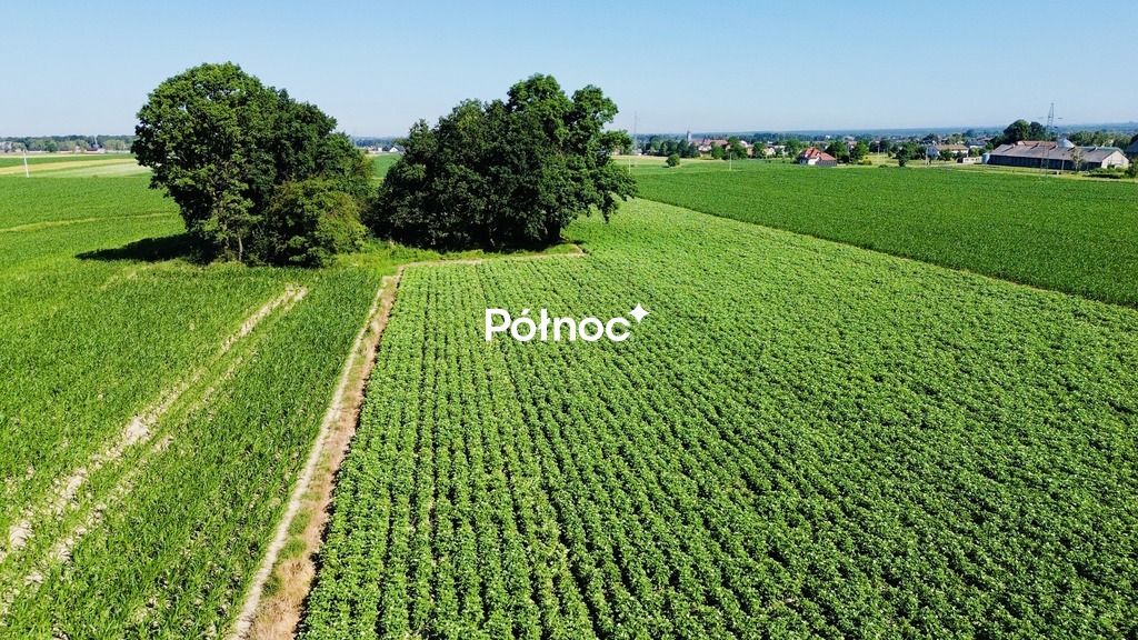 Działka rolna Chudów, ul. Szkolna. Zdjęcie 9