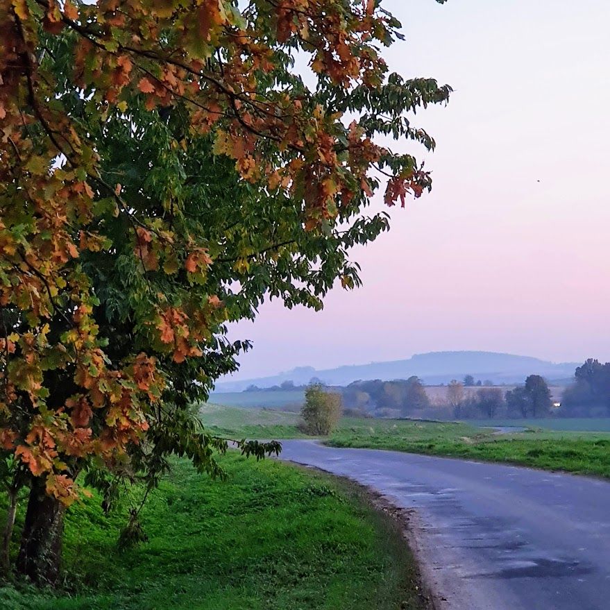 Działka budowlana Nasławice, ul. 1 Maja. Zdjęcie 8